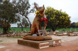 Corrigin Dog Cemetery