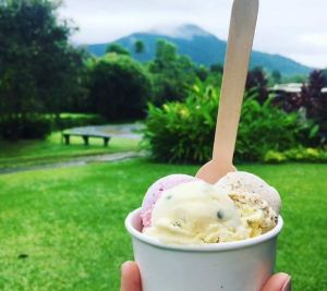 Daintree Ice Cream