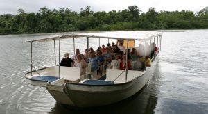 Daintree River Cruise