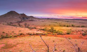 Alice Springs to Uluru Red Centre road trip travel Australia