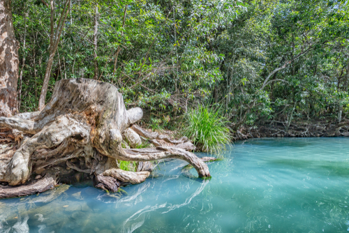 The very impressive spa pools at Cardwell in North Queensland