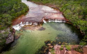 Fruit Bat Falls