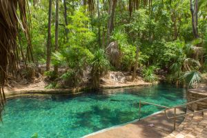 Mataranka Hot Springs