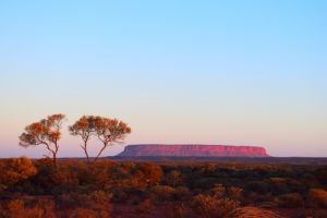 Curtin Springs travel Australia