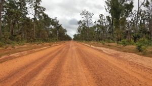 Old Telegraph Track