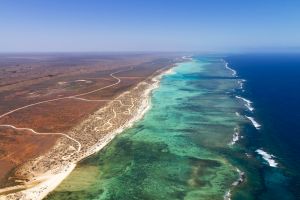 Ningaloo Reef