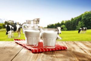 What is the best low fat skim milk?
