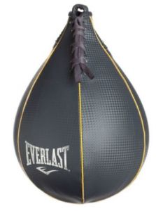 Everlast Punching Bag