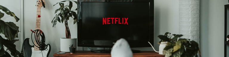 a person watching netflix on their TV
