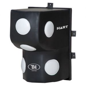 Wall mounted punching bag