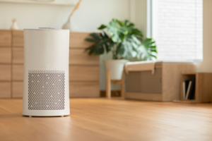 Air purifier in living room