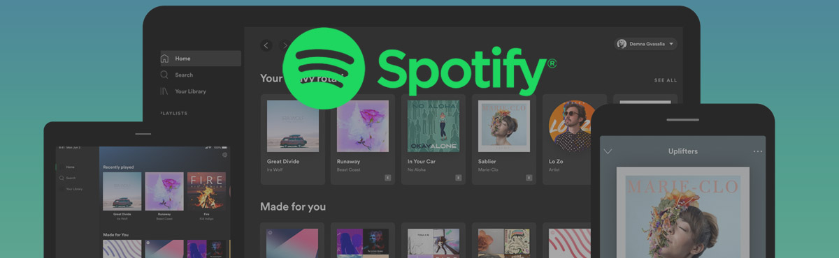 how to add someone to spotify duo