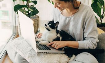 Woman using laptop with cat in lap