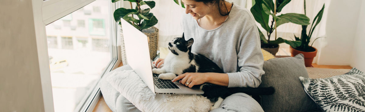 Woman using laptop with cat in lap