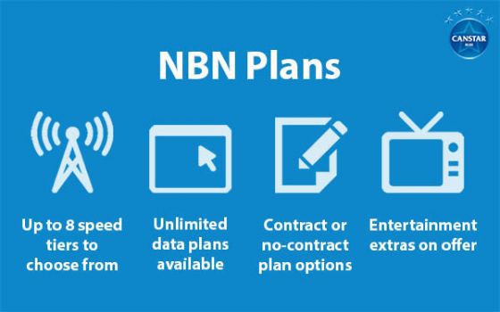 nbn plans for business