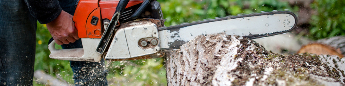 Stihl Chainsaws