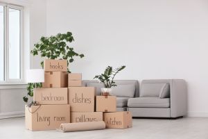 Cardboard Boxes Moving House