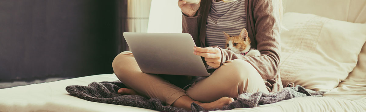 Woman using laptop with cat on lap