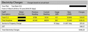 Electricity Usage Charges example bill