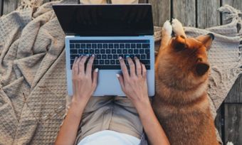 Top view of woman and dog with laptop