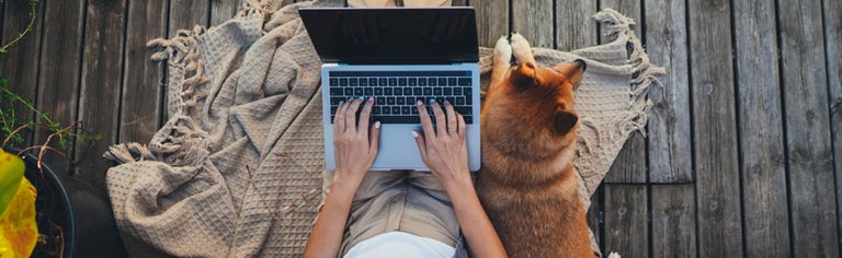 Top view of woman and dog with laptop