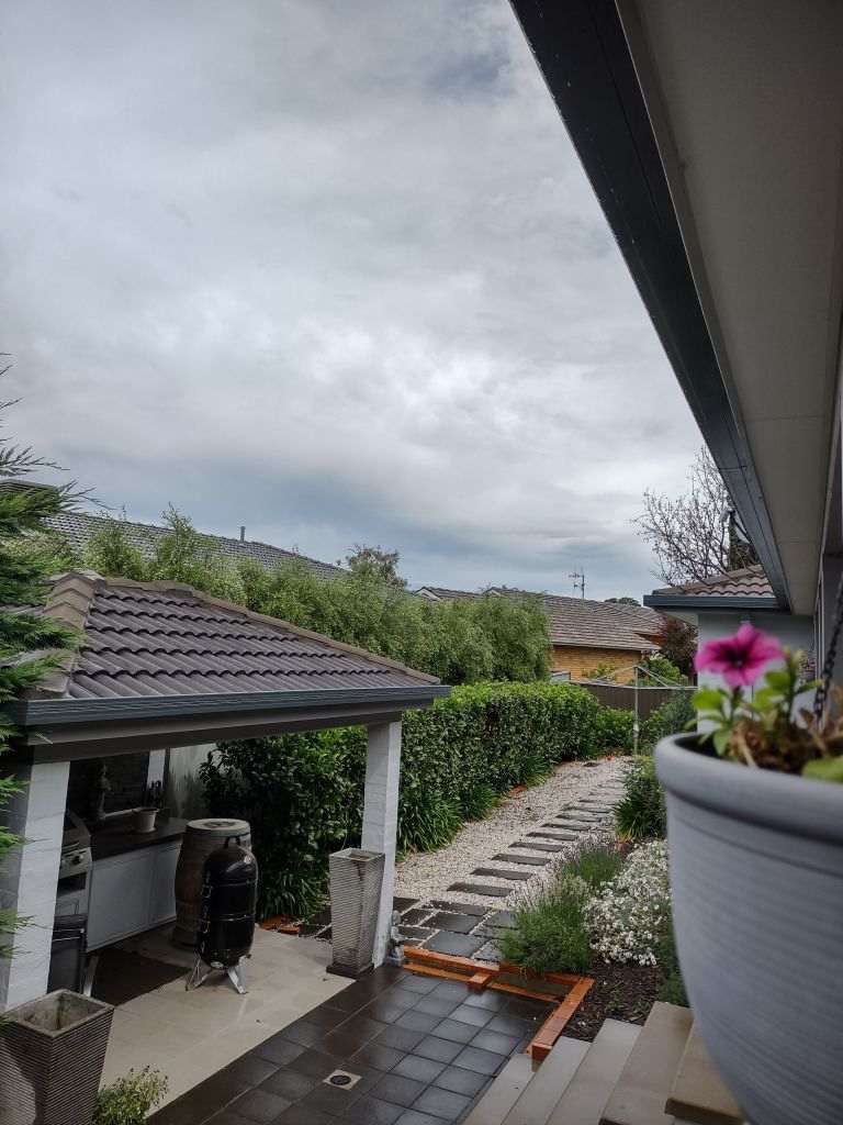 Backyard with hedges and storm clouds