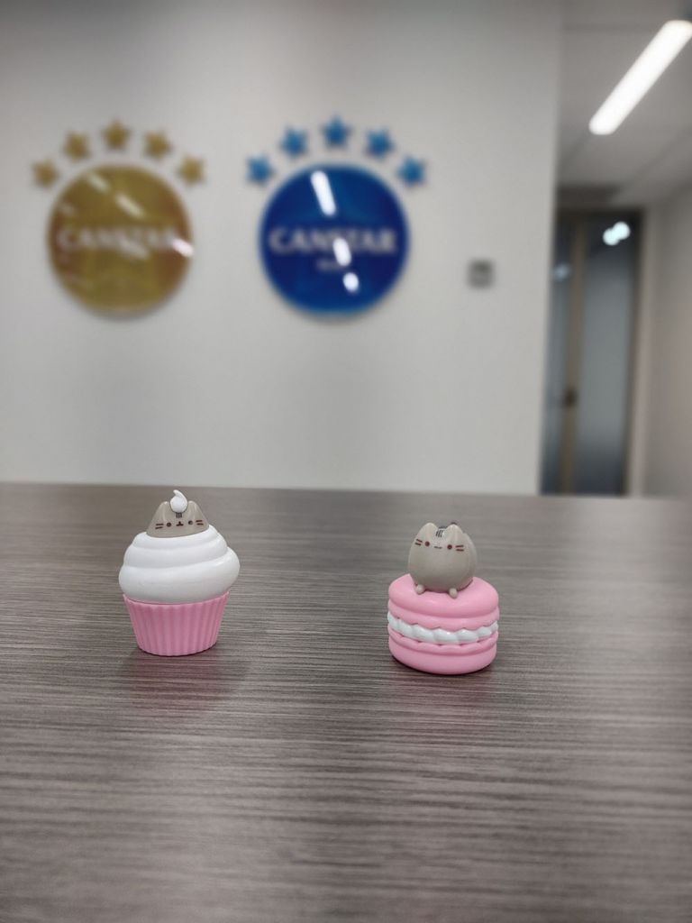 Portrait shot of small Pusheen figurines