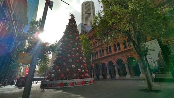 Christmas tree outdoors