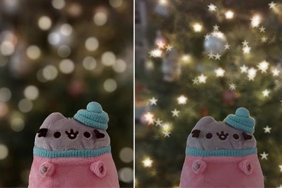 Cat plushie against christmas tree background