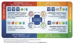 how to lose weight on optifast