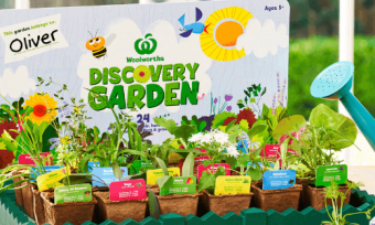 Woolworths Discovery Garden Returns