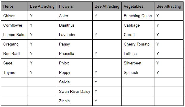 Woolworths Garden Discovery seedlings list