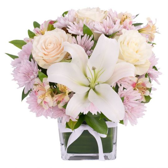 Online Gift Delivery Reviews Best sites Canstar Blue