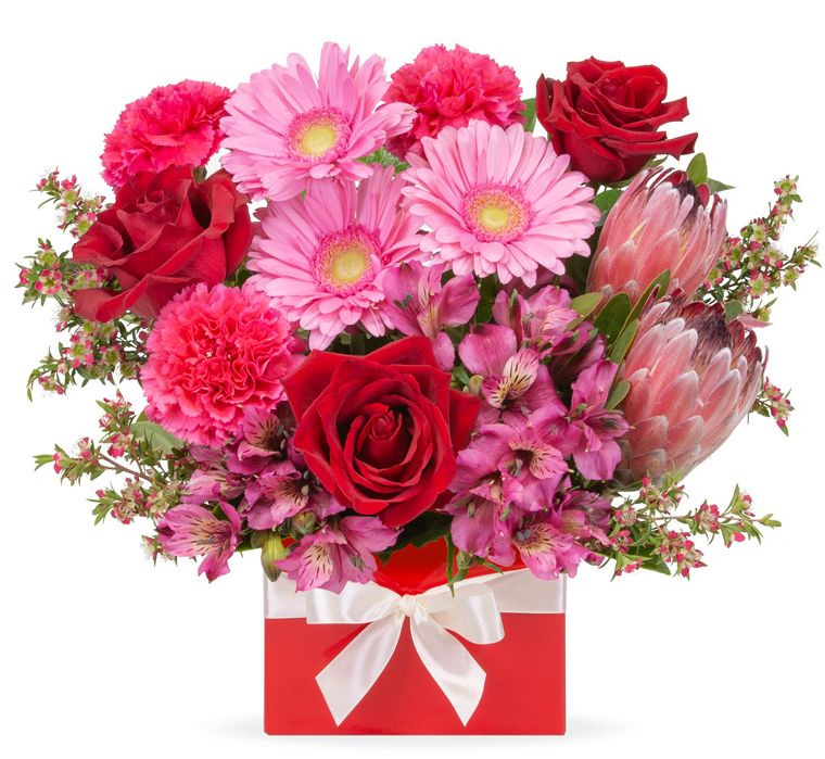 Online Gift Delivery Reviews Best sites Canstar Blue