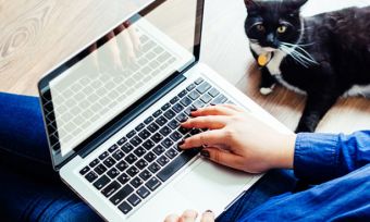 Woman using laptop with black and white cat next to her