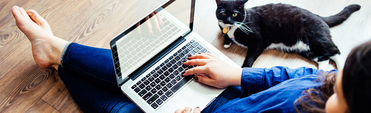 Woman using laptop with black and white cat next to her