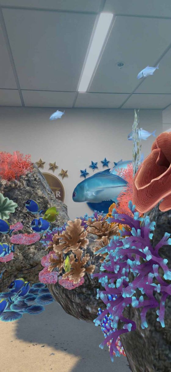 A photo of a reef captured on the AR app Recolour the Reef