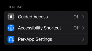 General Accessibility iPhone
