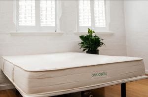 Peacelily mattress review review
