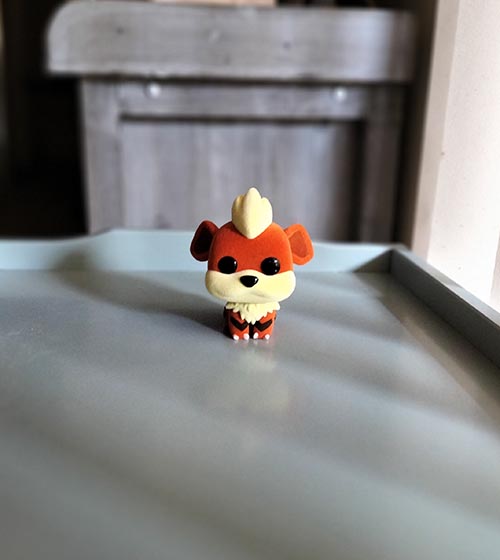 Portrait photo of Growlithe Pokemon figurine 