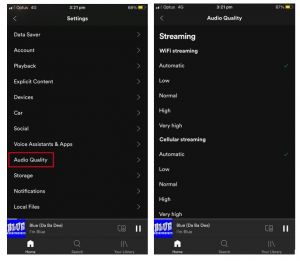 Spotify Audio Settings