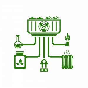 Bioenergy life cycle 