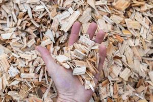 Pile of wood chips being assessed for quality