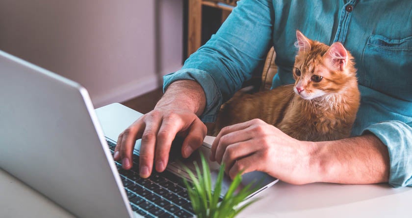 Man using laptop with cat