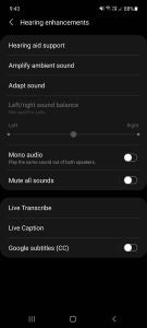 Hearing Accessibility Features 