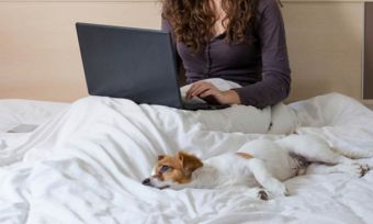 Woman in bed using laptop with small dog