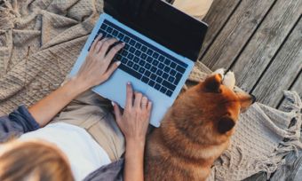 Overhead shot of woman using laptop on patio with dog