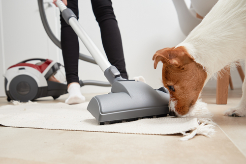 Best Vacuum Cleaners | Ratings & Buying Guide Canstar Blue