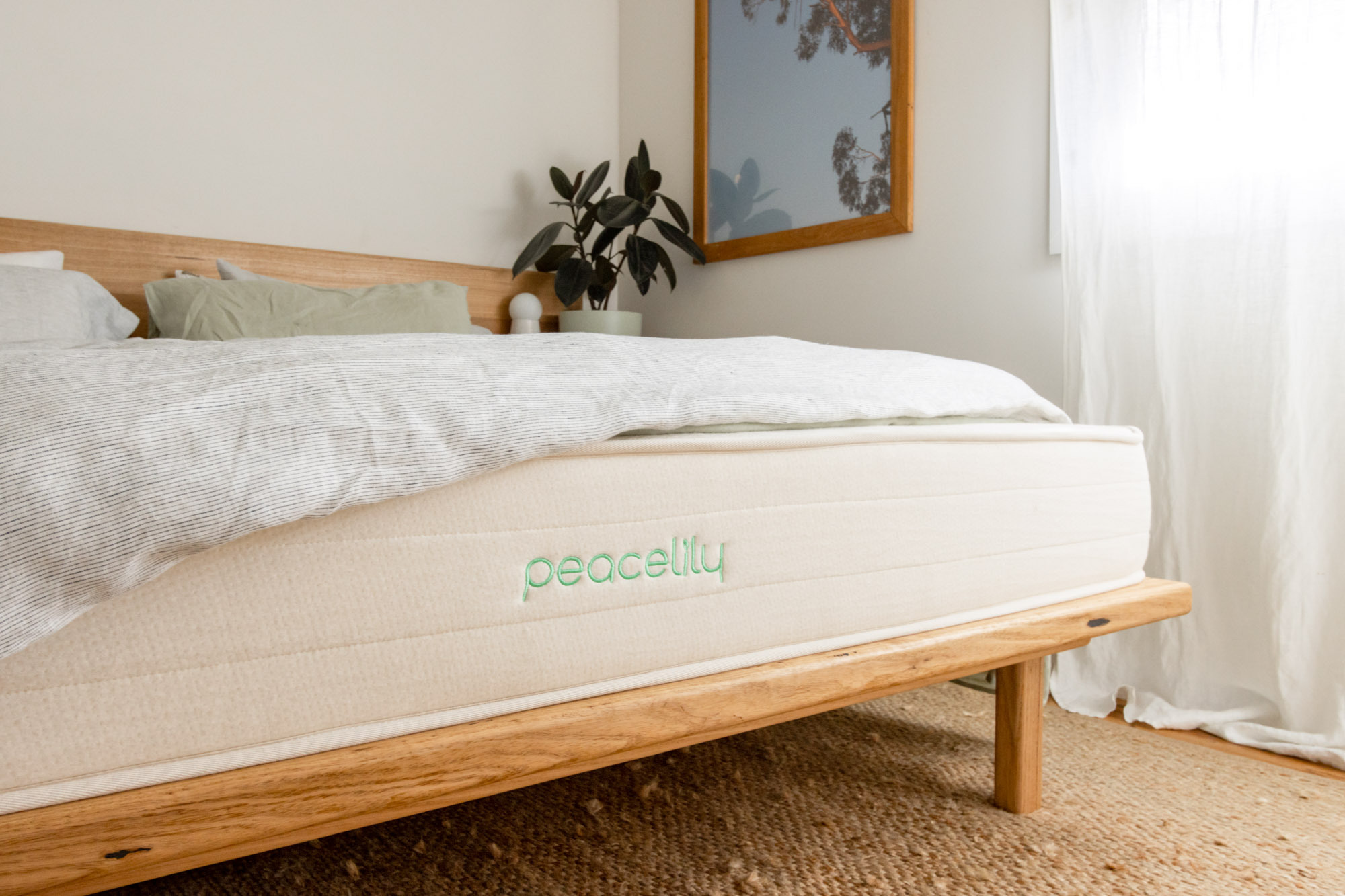 Peacelily mattress review sizes, prices & guide Canstar Blue