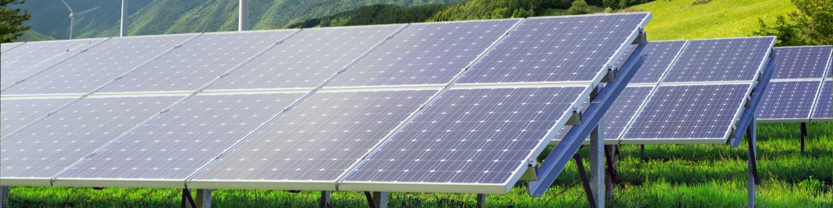 Solar panels in a field